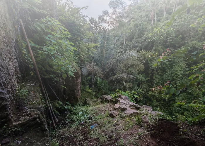 The Kayon Valley リゾート