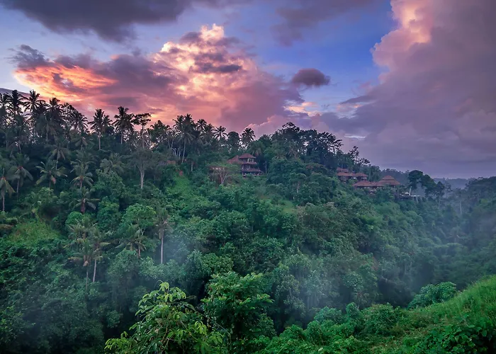 リゾート The Kayon Valley