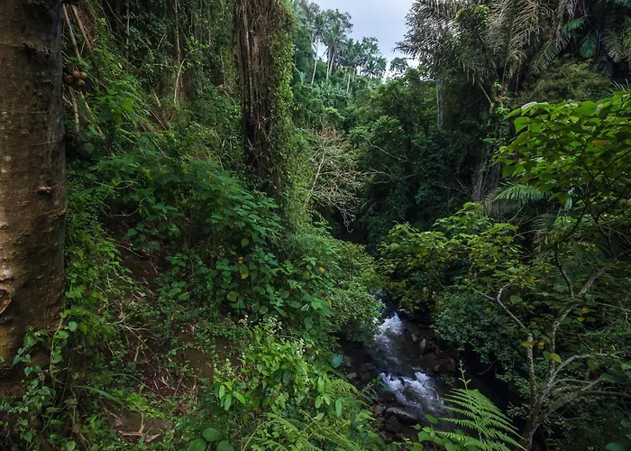 リゾート The Kayon Valley ウブド